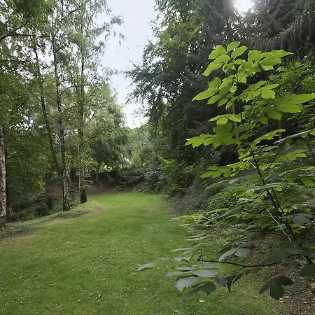 Musschenberg 2*